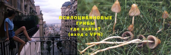 спиды Абаза
